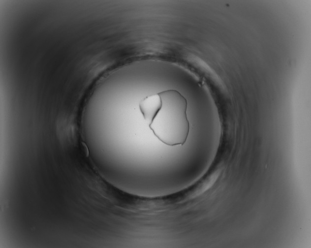 X0000092261210200709211113