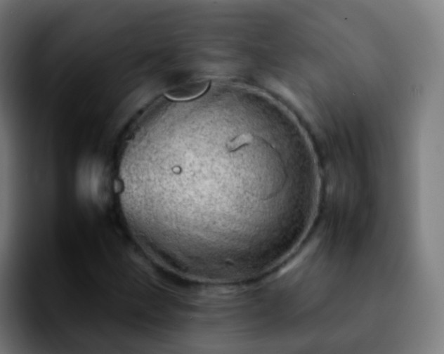 X0000092261211200709211113
