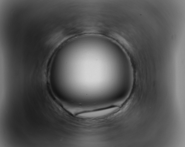 X0000092261212200709211113