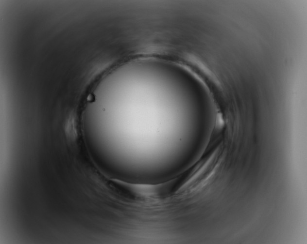 X0000092261213200709211113