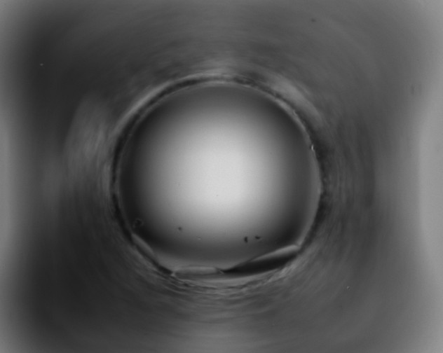 X0000092261216200709211113