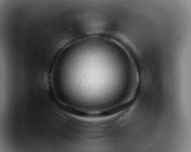 X0000092261217200709211113