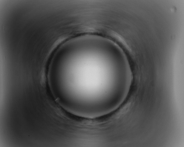 X0000092261218200709211113