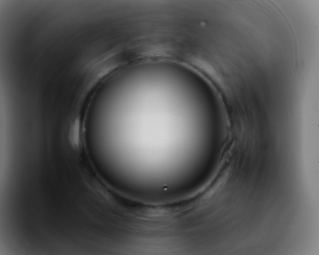 X0000092261219200709211113