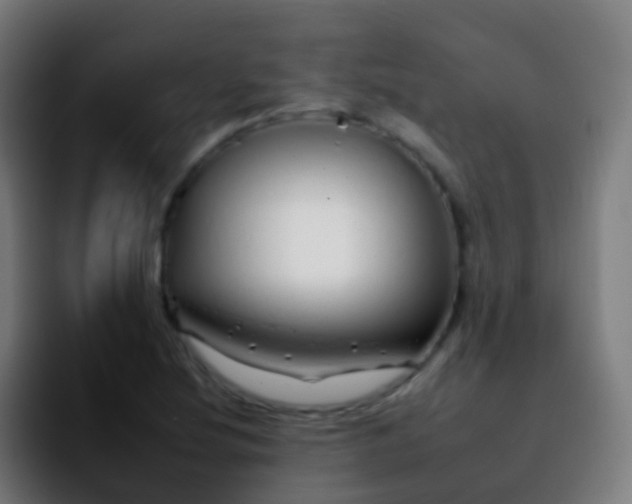 X0000092261220200709211113