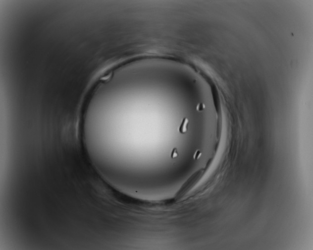 X0000092261222200709211113
