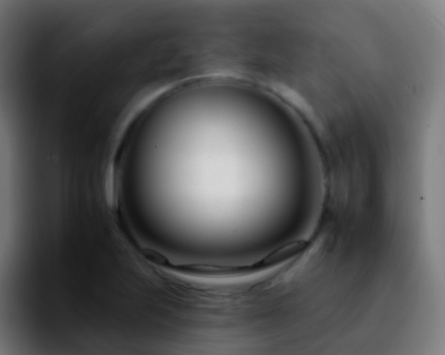 X0000092261223200709211113