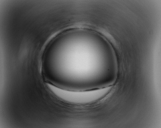 X0000092261224200709211113