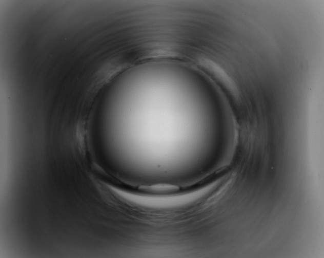 X0000092261225200709211113