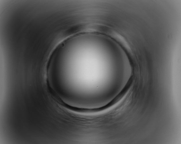 X0000092261226200709211113
