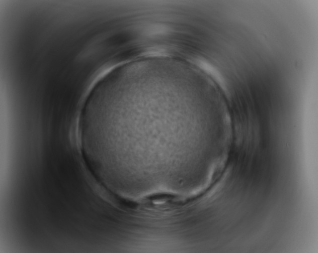 X0000092261227200709211113