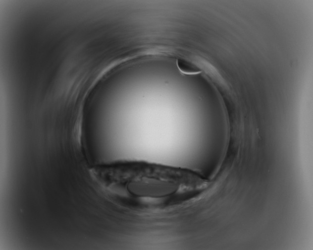 X0000092261228200709211113