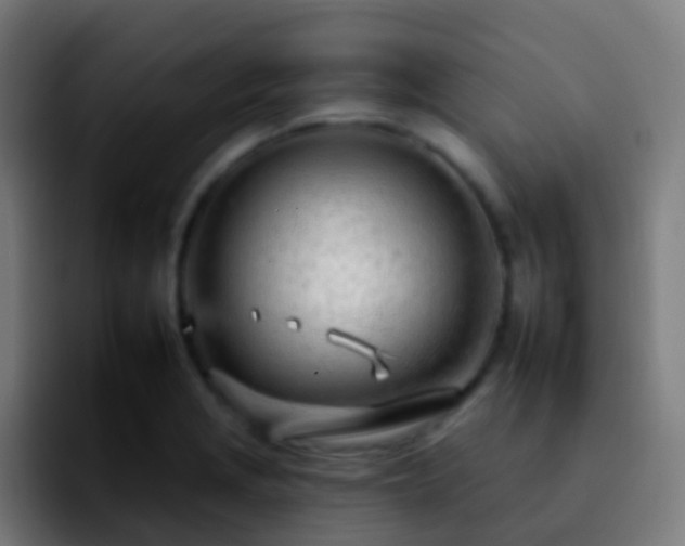 X0000092261229200709211113