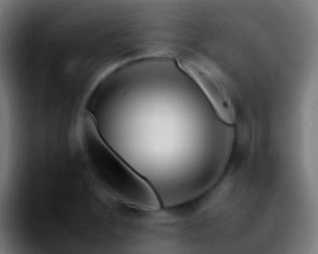X0000092261230200709211113