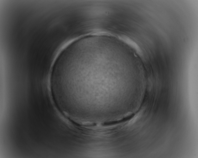 X0000092261231200709211113