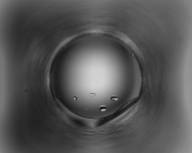X0000092261232200709211113