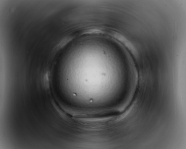 X0000092261233200709211113