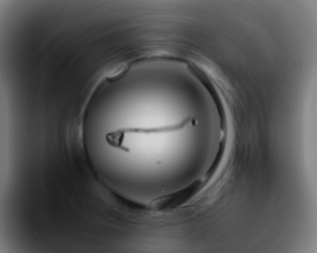 X0000092261234200709211113