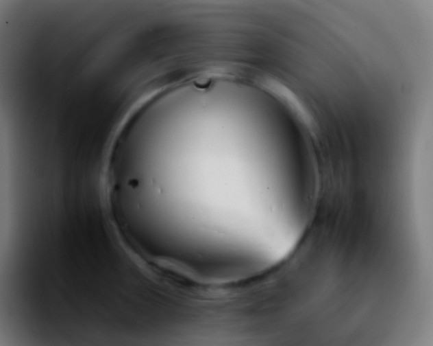 X0000092261235200709211113