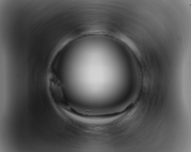 X0000092261237200709211113