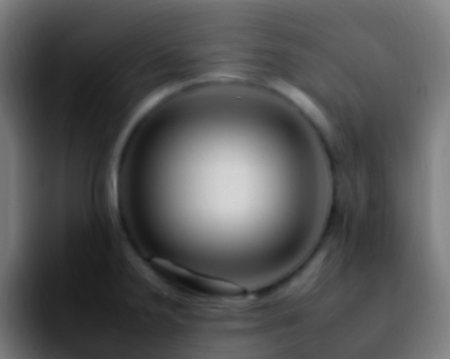 X0000092261238200709211113