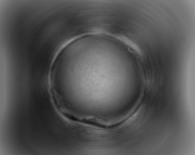 X0000092261239200709211113