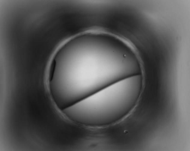 X0000092261248200709211113