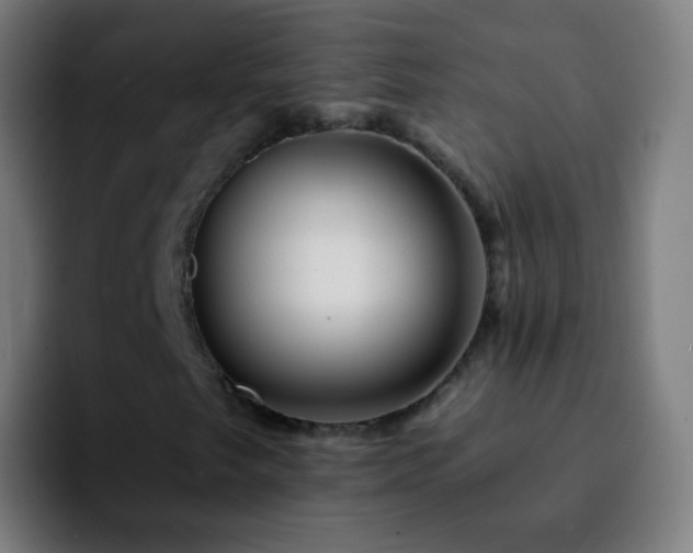 X0000092261249200709211113