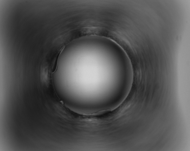 X0000092261250200709211113
