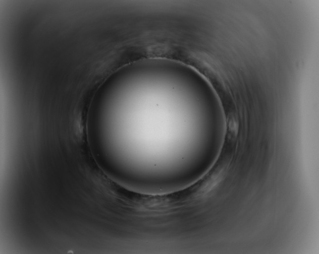 X0000092261252200709211113