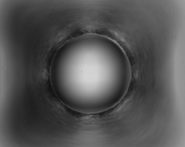 X0000092261253200709211113