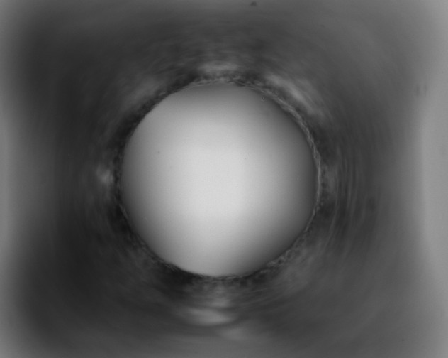 X0000092261254200709211113