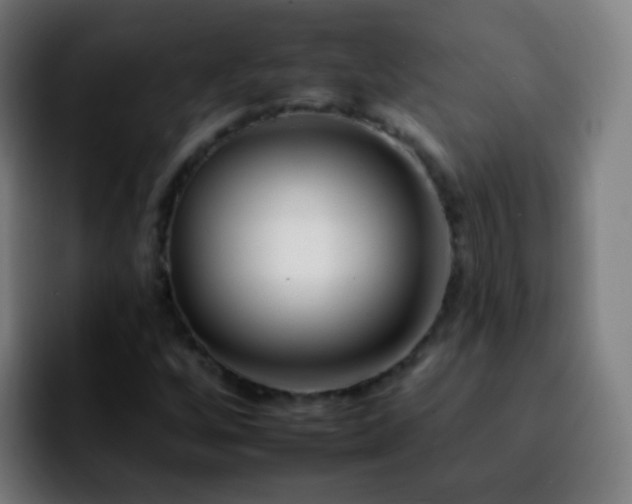 X0000092261256200709211113