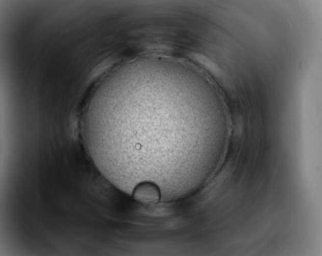 X0000092261258200709211113