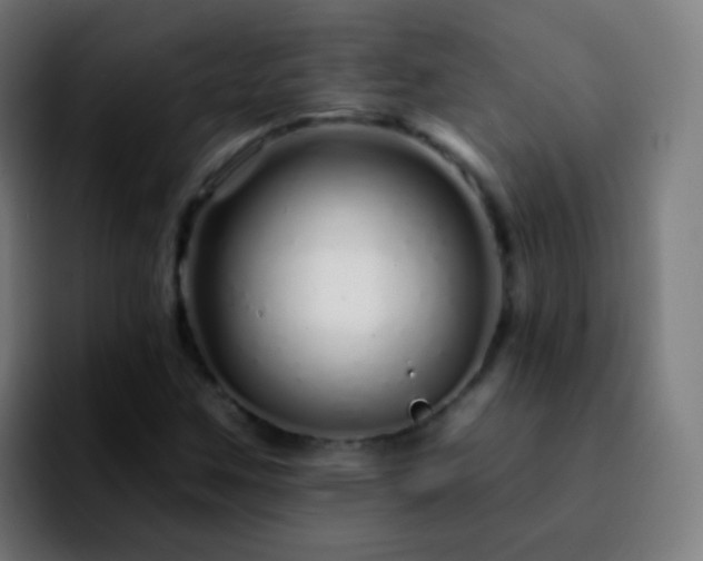 X0000092261259200709211113