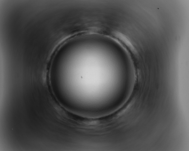 X0000092261260200709211113