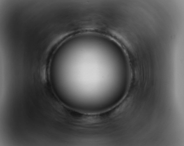 X0000092261262200709211113