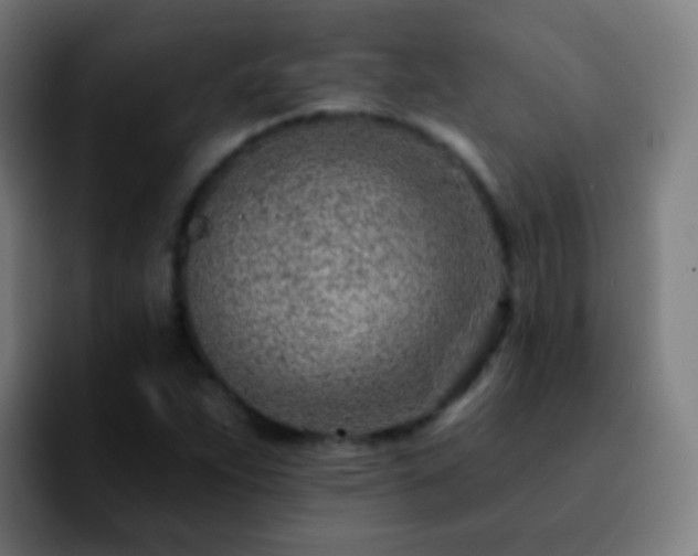 X0000092261263200709211113