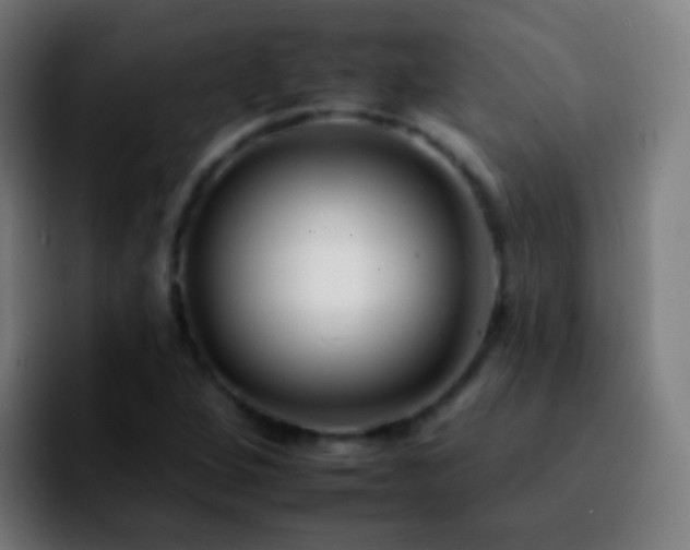 X0000092261264200709211113
