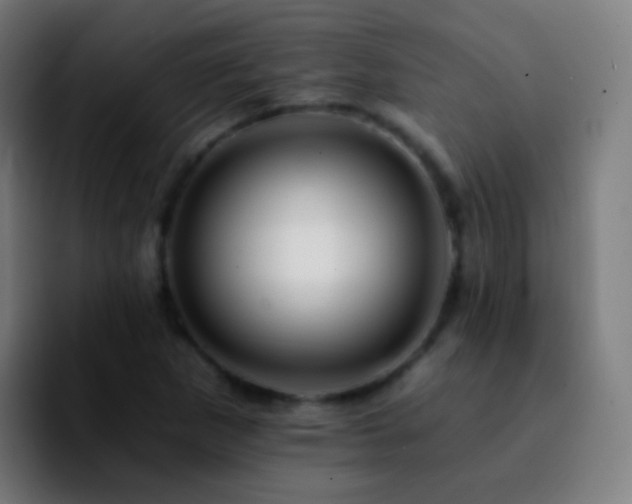 X0000092261265200709211113