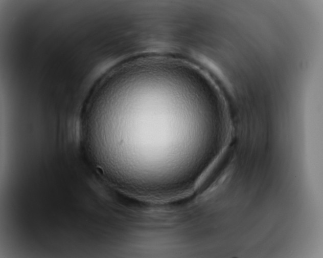 X0000092261267200709211113