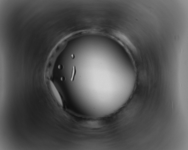 X0000092261268200709211113
