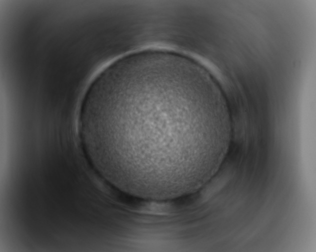 X0000092261271200709211113