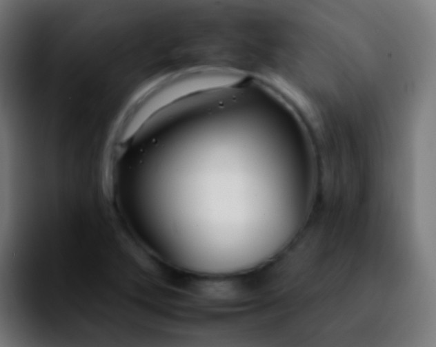 X0000092261272200709211113