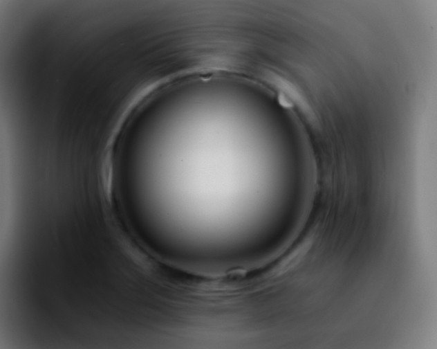 X0000092261275200709211113