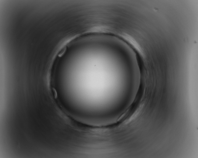 X0000092261277200709211113