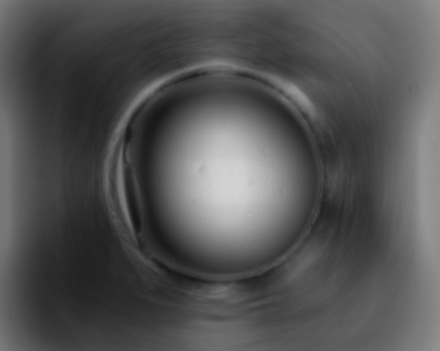 X0000092261279200709211113