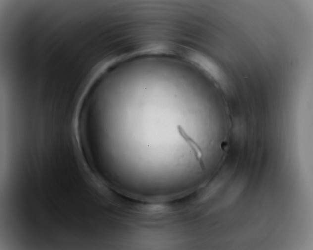 X0000092261283200709211112