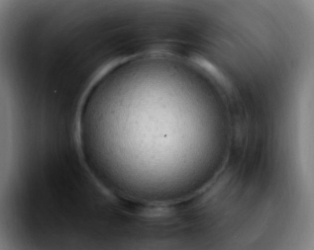 X0000092261286200709211112
