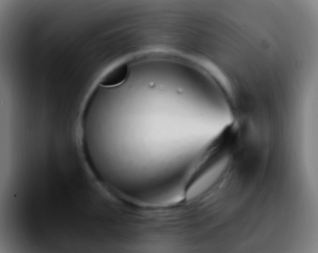 X0000092261287200709211112